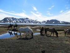 Iceland-East and South-Landmannalaugar Nature Tour